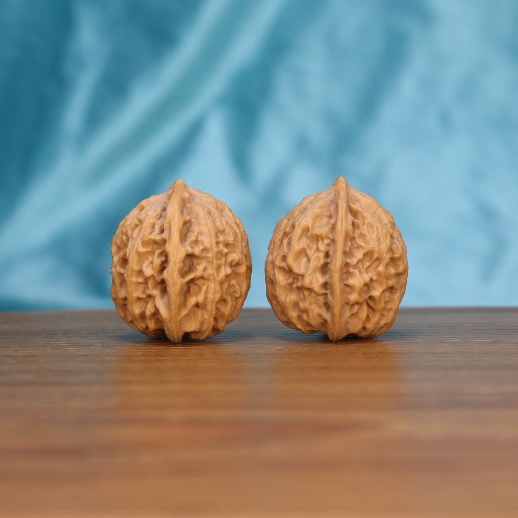 Xiao-Jin-Niu wenwan walnut pair alternate angle, blue background – symmetrical resolute taurus ridge pattern