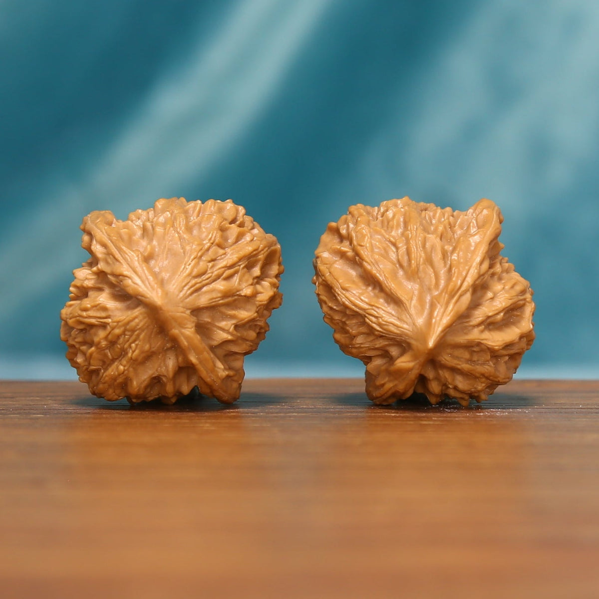 Rear view of The Crowned Rounds Wenwan walnuts displaying their rounded forms and sculpted natural ridges.
