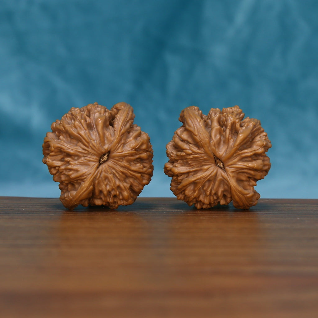 Close rear view of The Bronze Relics Wenwan Walnut Set highlighting the walnuts’ star-like textures and sculpted edges.
