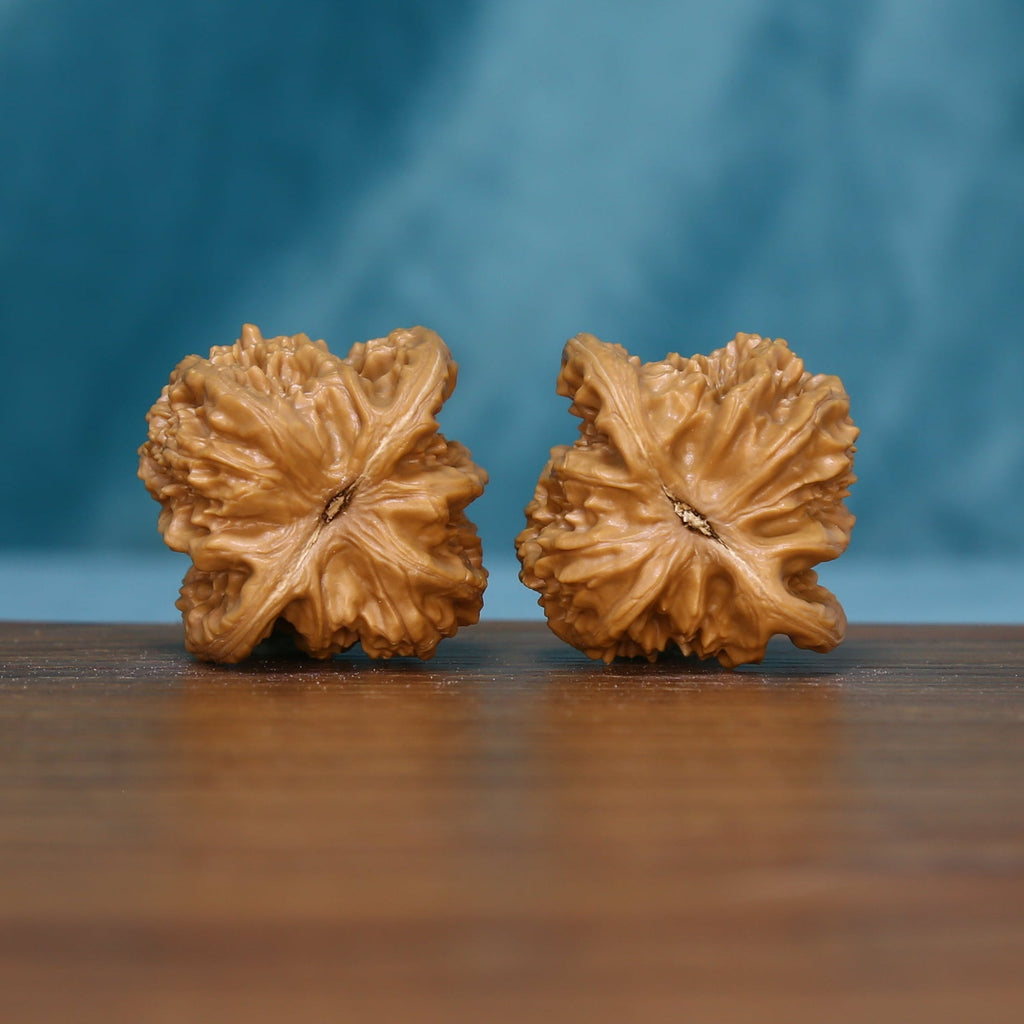 Base view of the 6157 Deep Furrow wenwan walnut pair with radiating ridges
