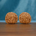 Pair of 6123 Close Match wenwan walnuts showing raised ridges and grooves
