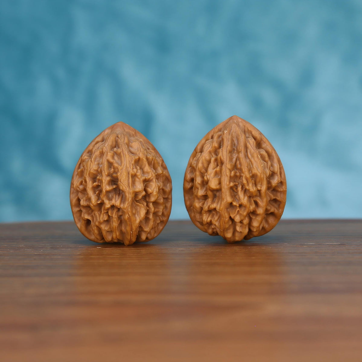 Pair of wenwan walnuts with deeply wrinkled brain-like surface and pointed tip, close-up front view on wooden surface with blue background
