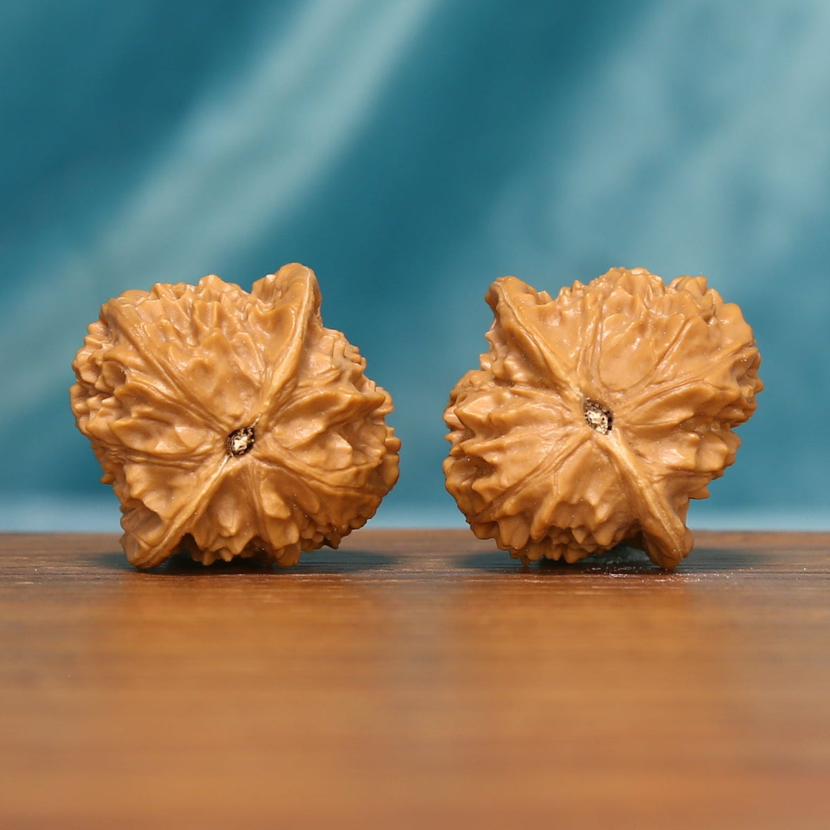Bottom view of The Crowned Rounds Wenwan Walnut Set showing the walnuts’ distinctive bases and textured edges.
