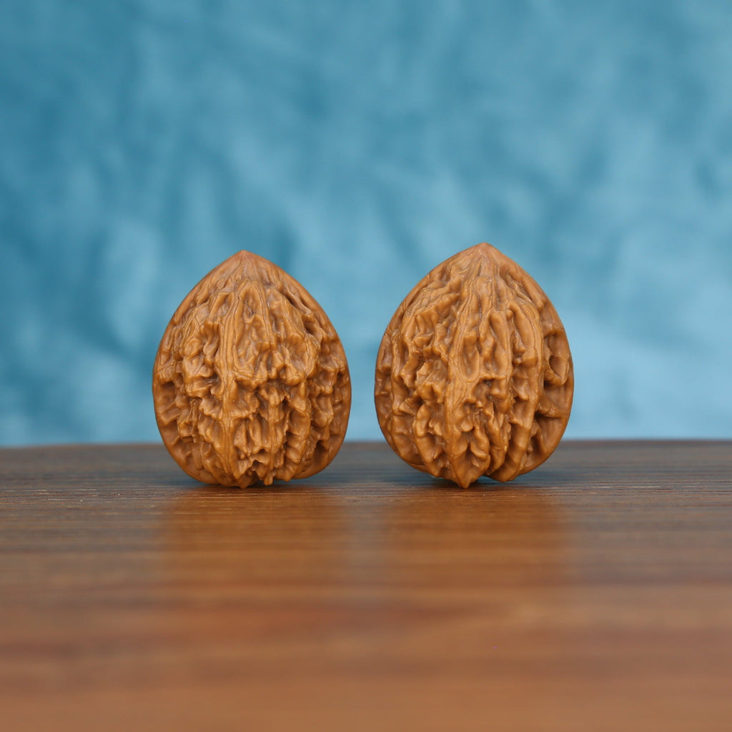 Pair of wenwan walnuts with dense layered wrinkled texture and teardrop form, low-angle front view on wooden surface with blue background
