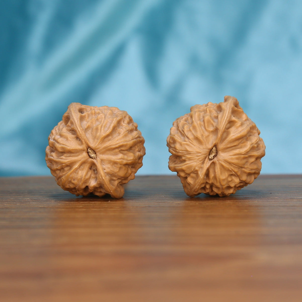 Xiao-Jin-Niu walnut pair bottom view on wood – natural golden bull base pattern, Resolute Taurus premium set