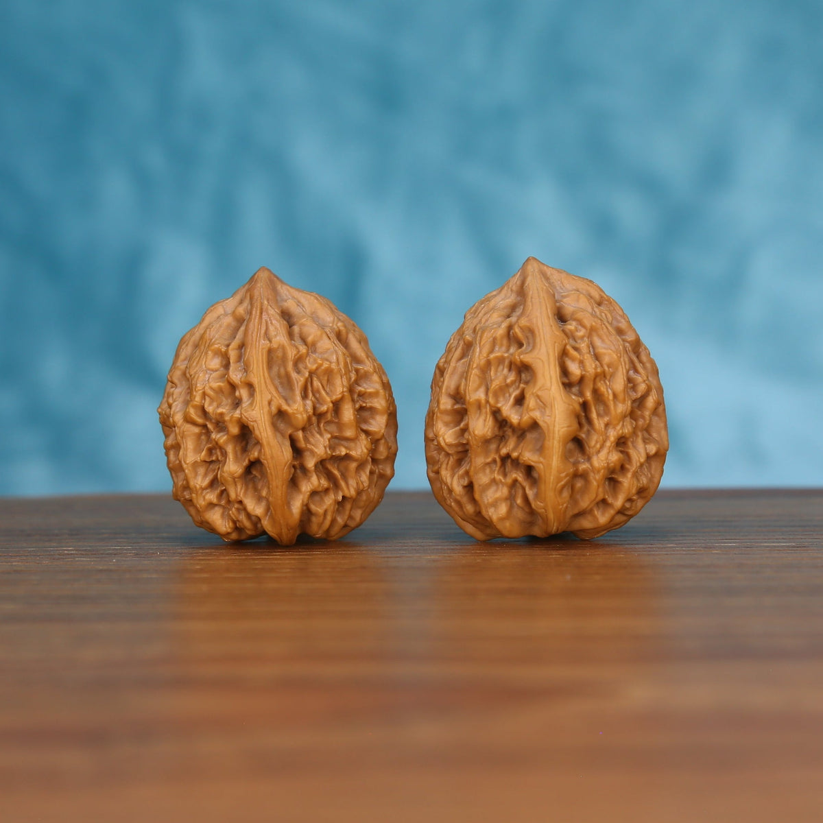 Pair of wenwan walnuts with bold vertical seam and irregular wrinkled surface, rounded form, front view on wooden surface with blue background
