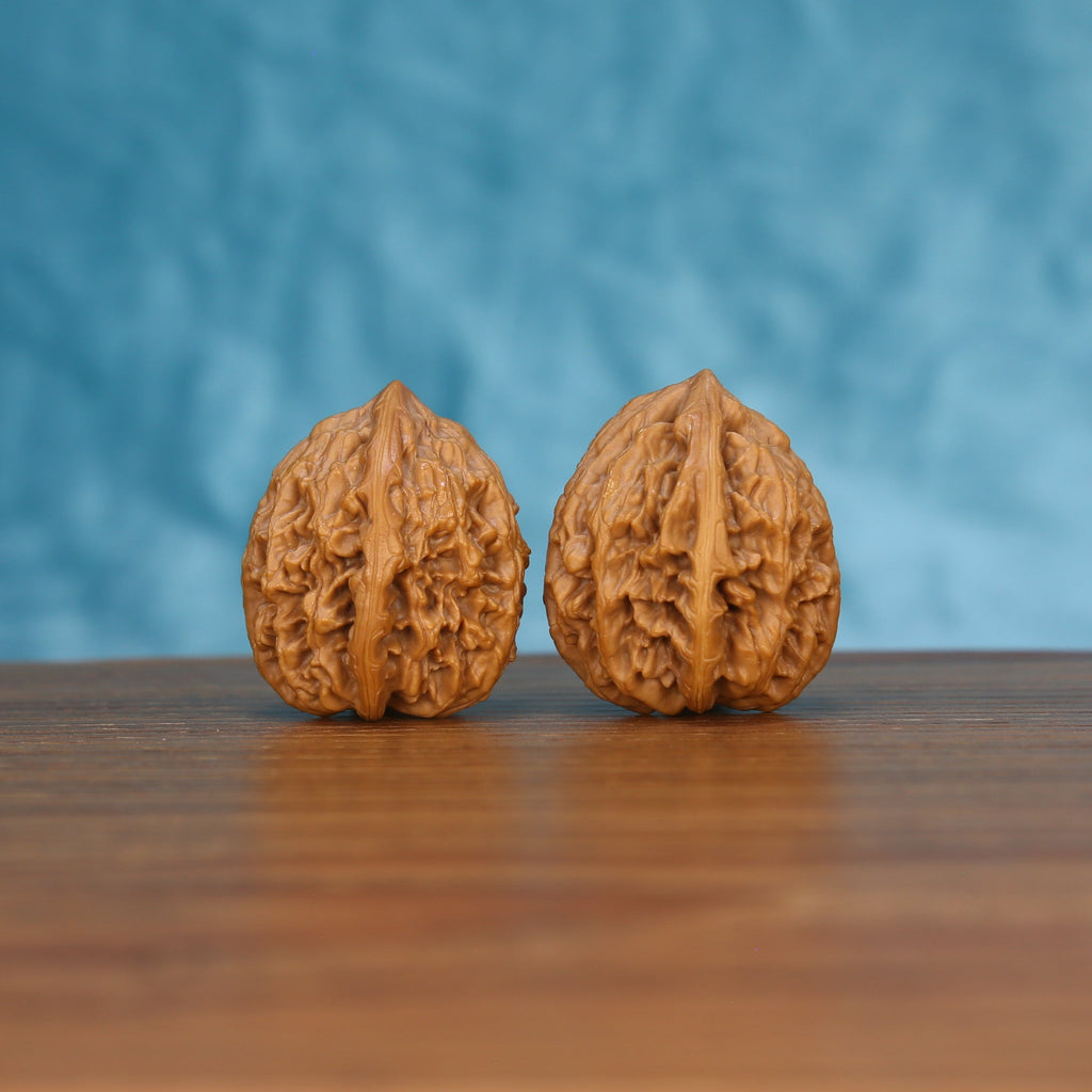 Pair of wenwan walnuts showing prominent vertical seam and deeply folded wrinkled texture, front view on wooden surface with blue background

