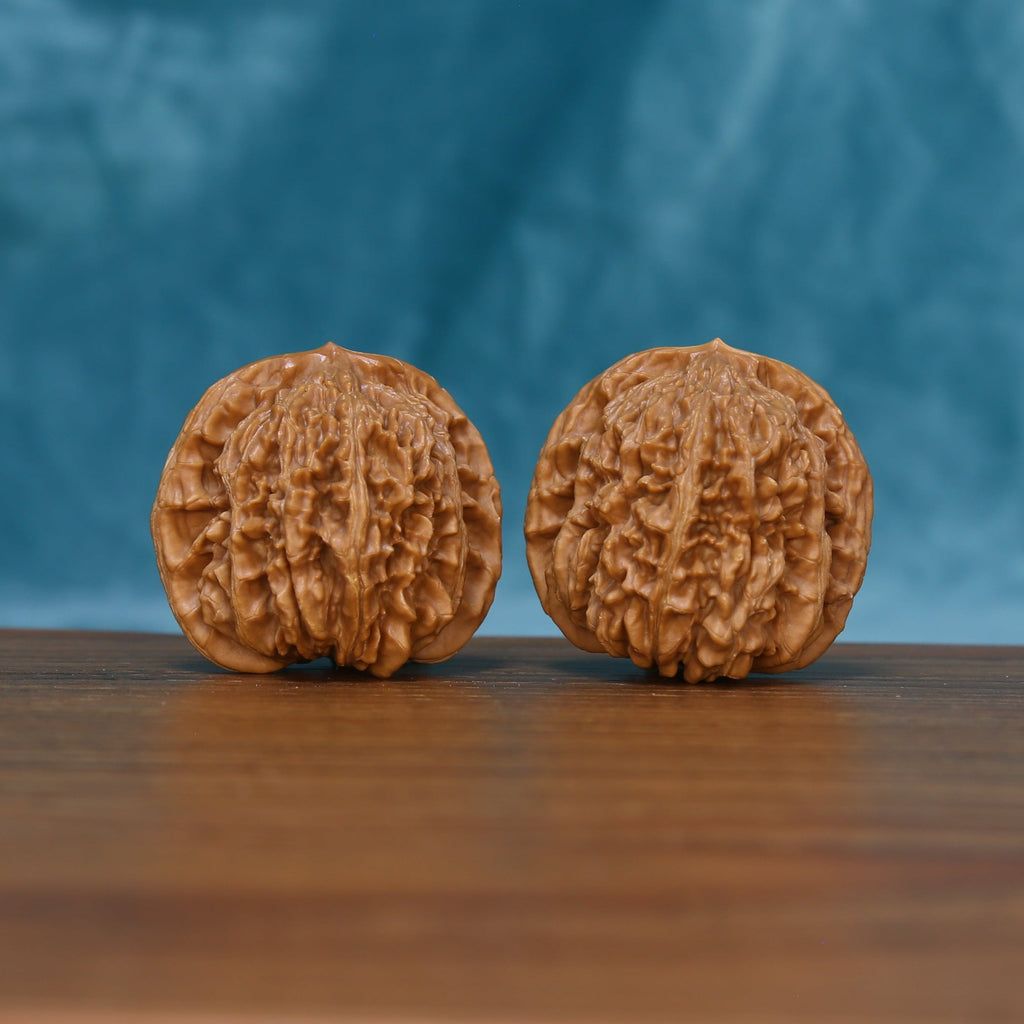 L13 Wenwan Walnut Pair – Front view showing dense, richly textured surface against blue background
