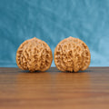 Pair of Coiling Dragon Wenwan walnuts standing upright on a wooden surface against a blue background
