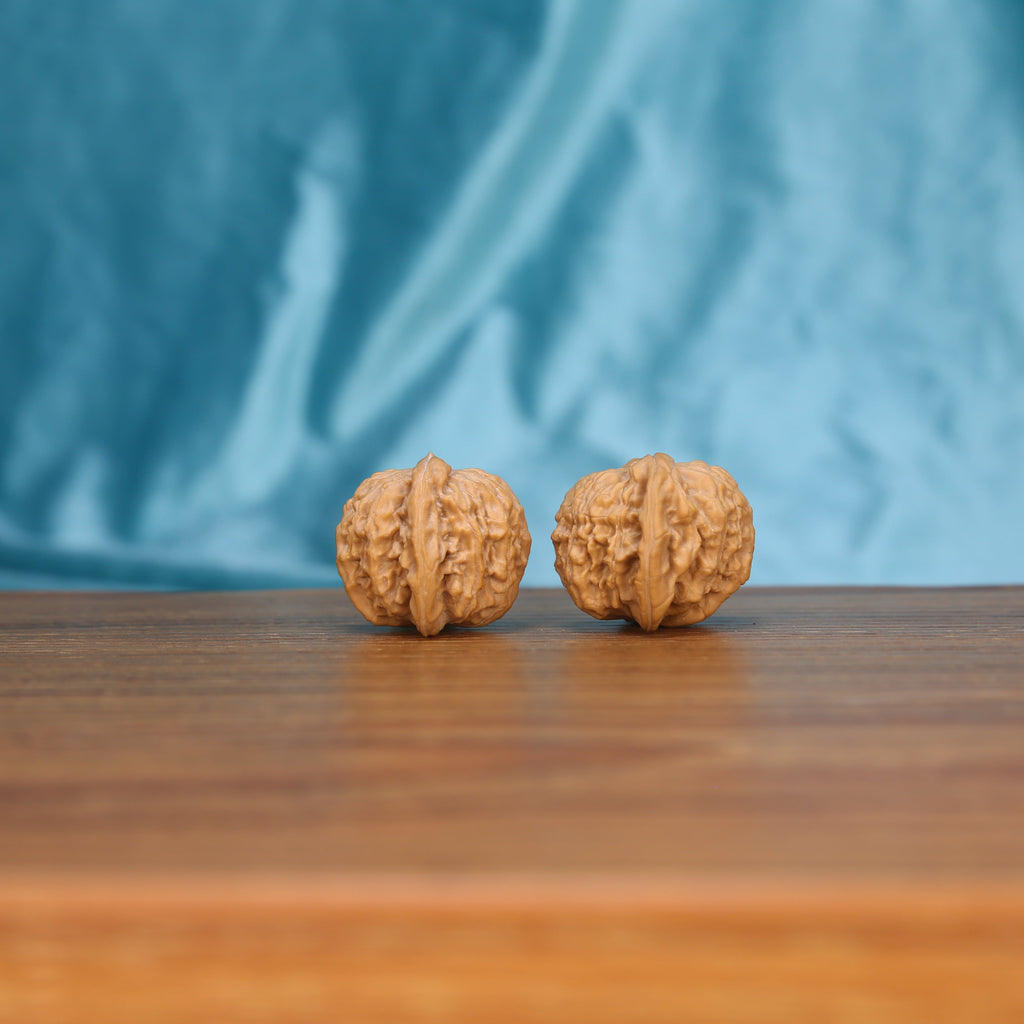 Mo-Pan walnut close-up – dense landscape texture and 1.5g untamed organic density asymmetry
