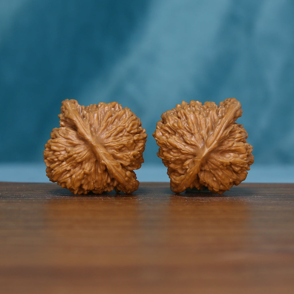 The Close Match | 6123 Wenwan Walnut Set