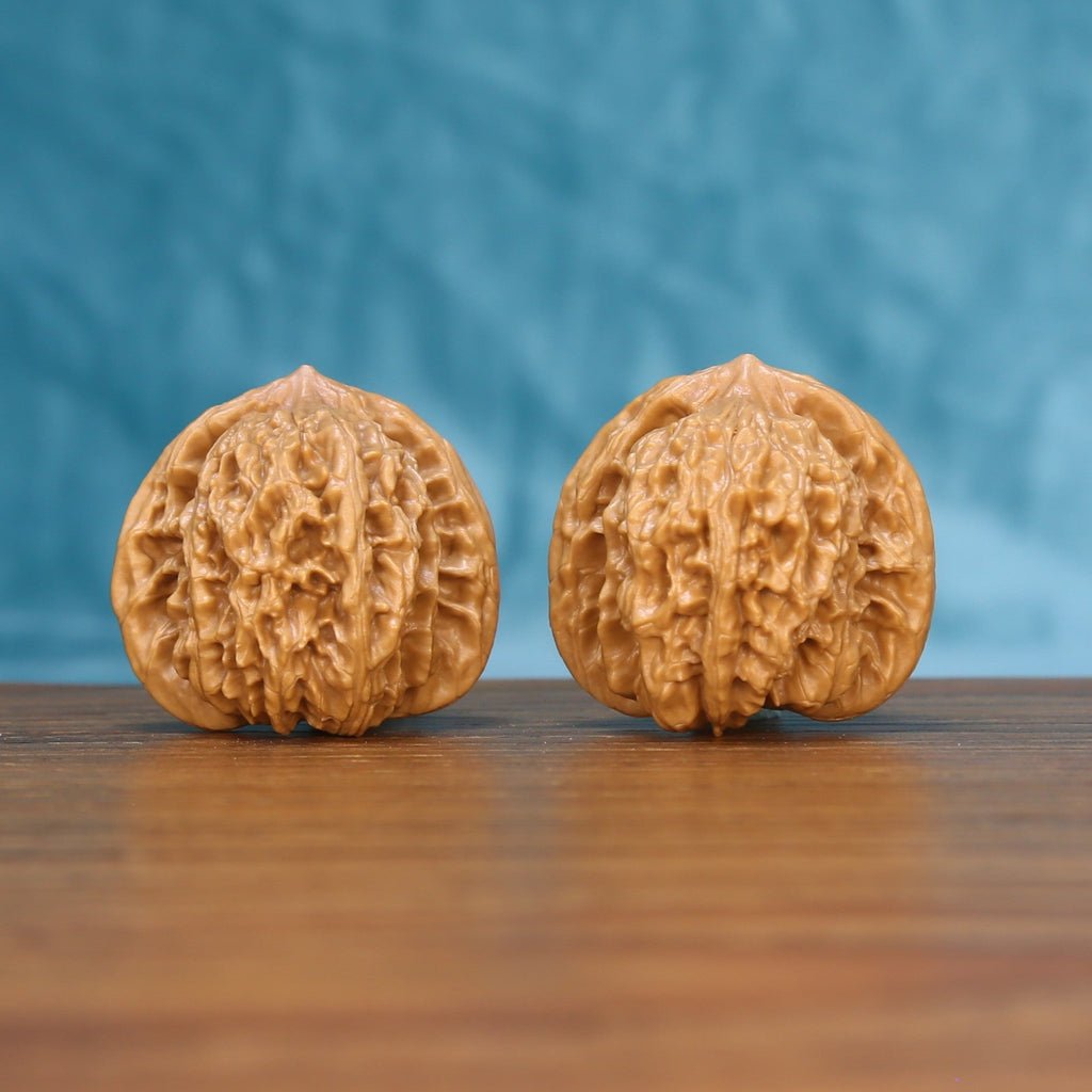 Front view of a matched pair of Coiling Dragon Wenwan walnuts with flowing natural ridges
