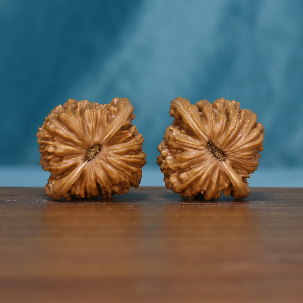 Base view of the 6123 wenwan walnut pair showing radiating grooves
