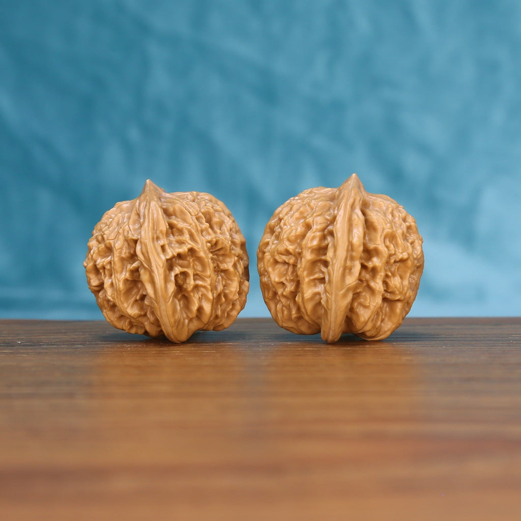 Three-quarter view of two Coiling Dragon Wenwan walnuts showing detailed shell texture
