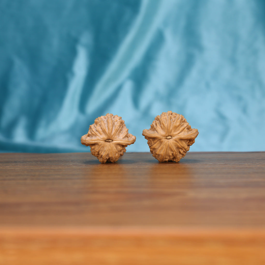 W3993 Muted Zenith walnut botanical artifacts – 100% raw canvas evolving into translucent patina