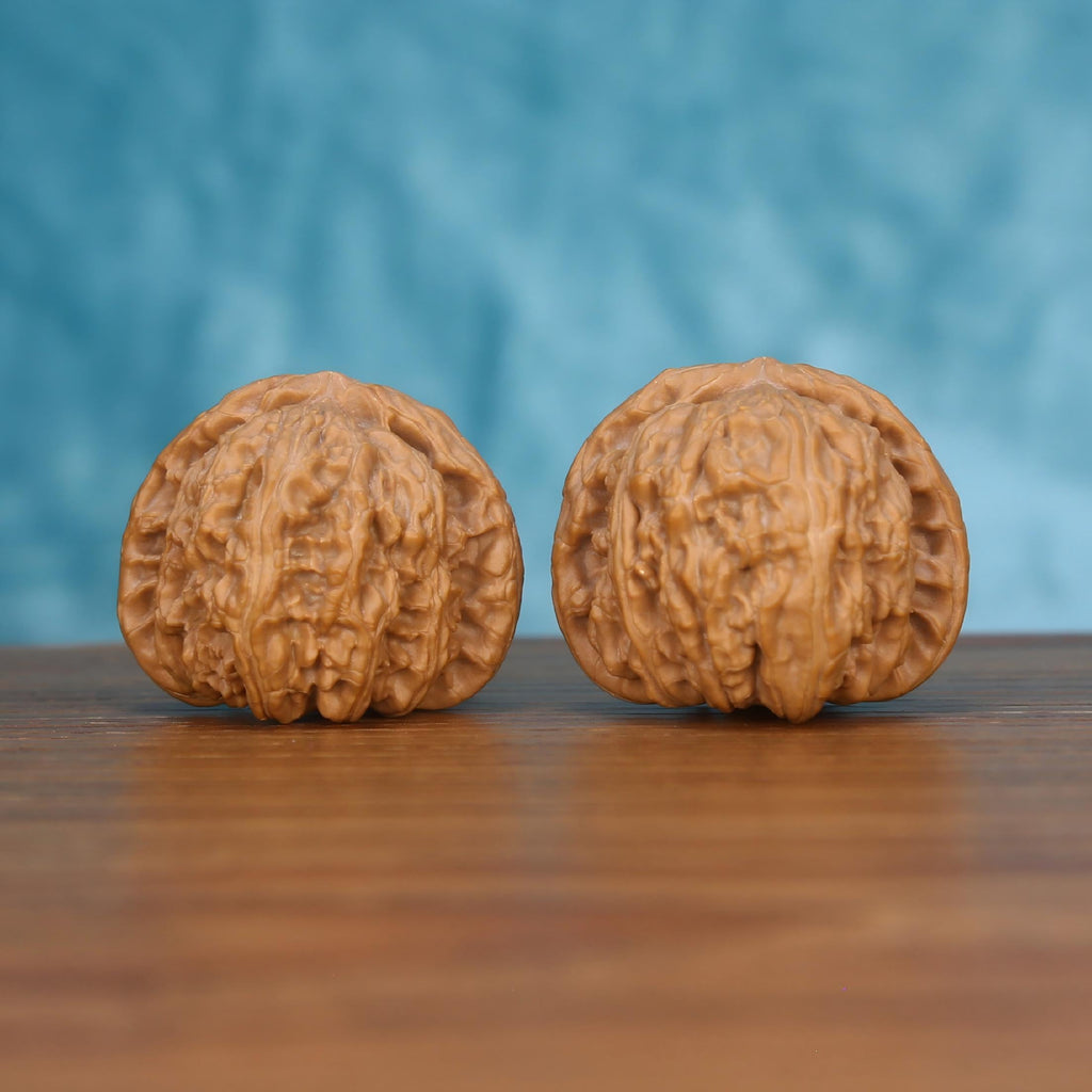 Pair of wenwan walnuts with dense layered wrinkled texture and squat rounded form, front view on wooden surface with blue background
