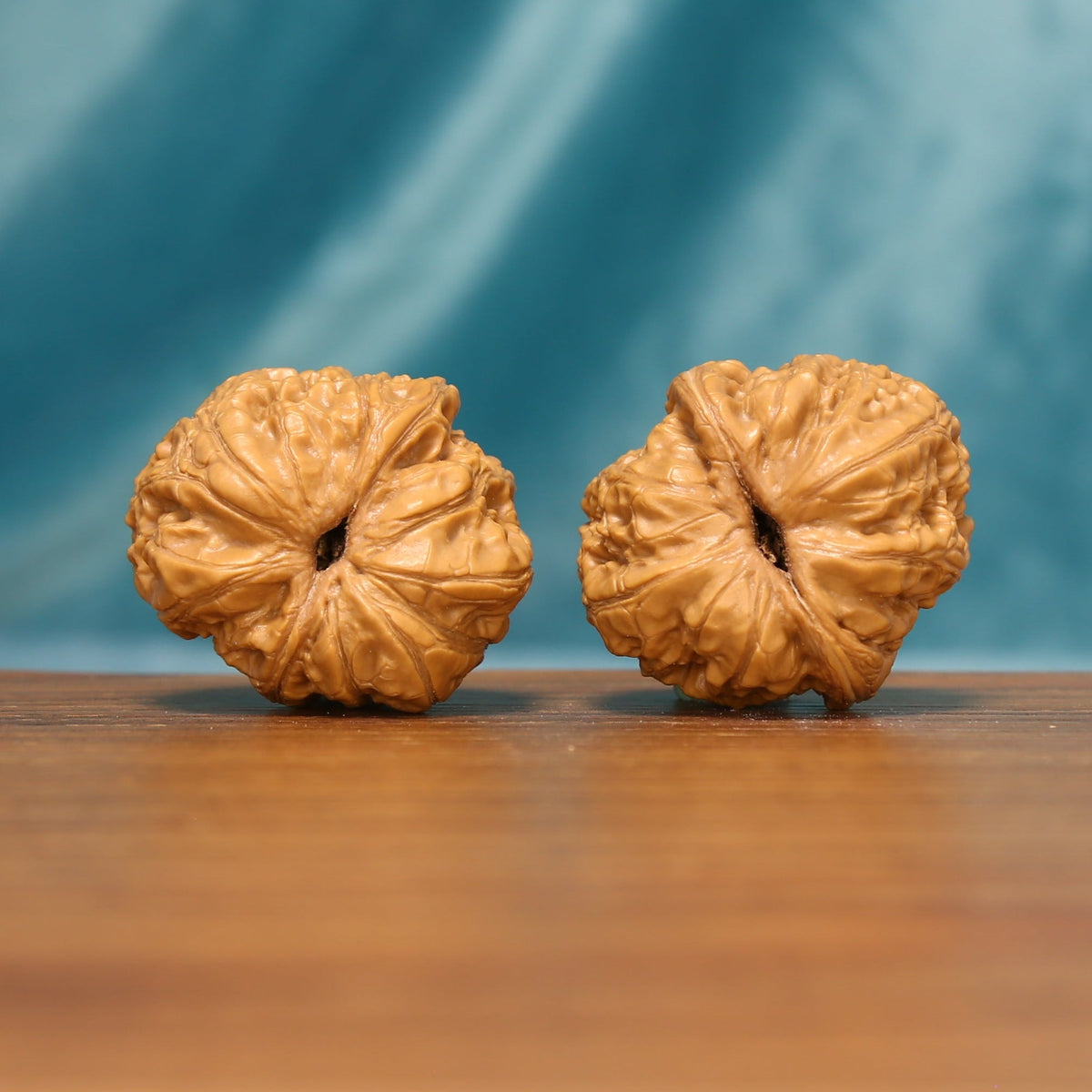 L21 Wenwan walnut pair shown from below, highlighting the natural base patterns and radiating ridges.
