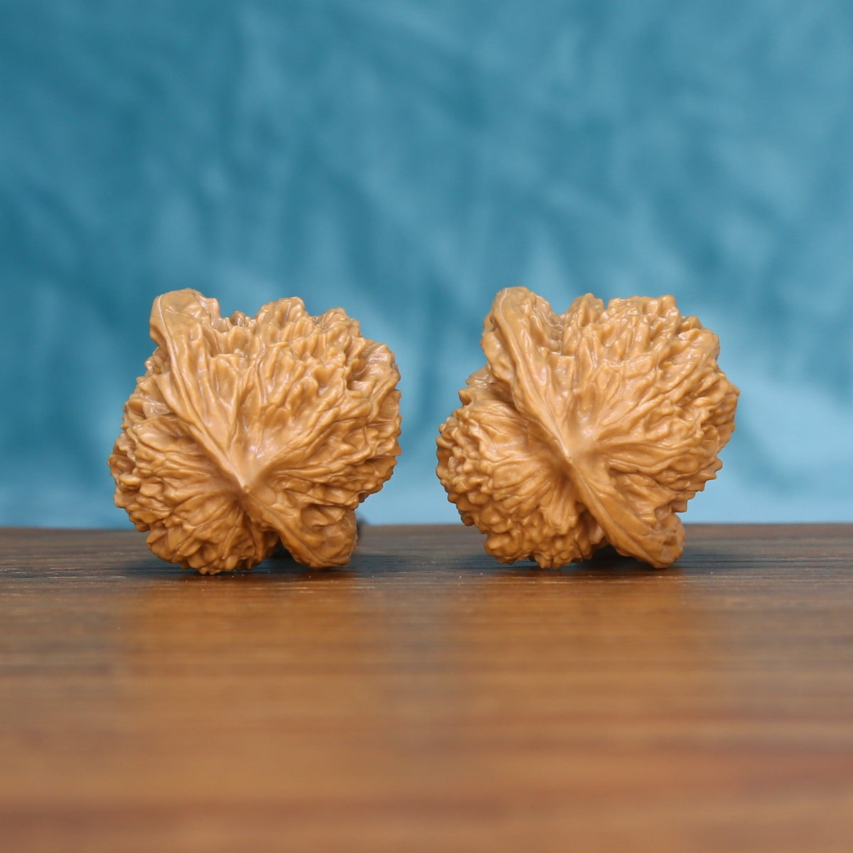 Back view of two Coiling Dragon Wenwan walnuts showing distinct natural shell patterns
