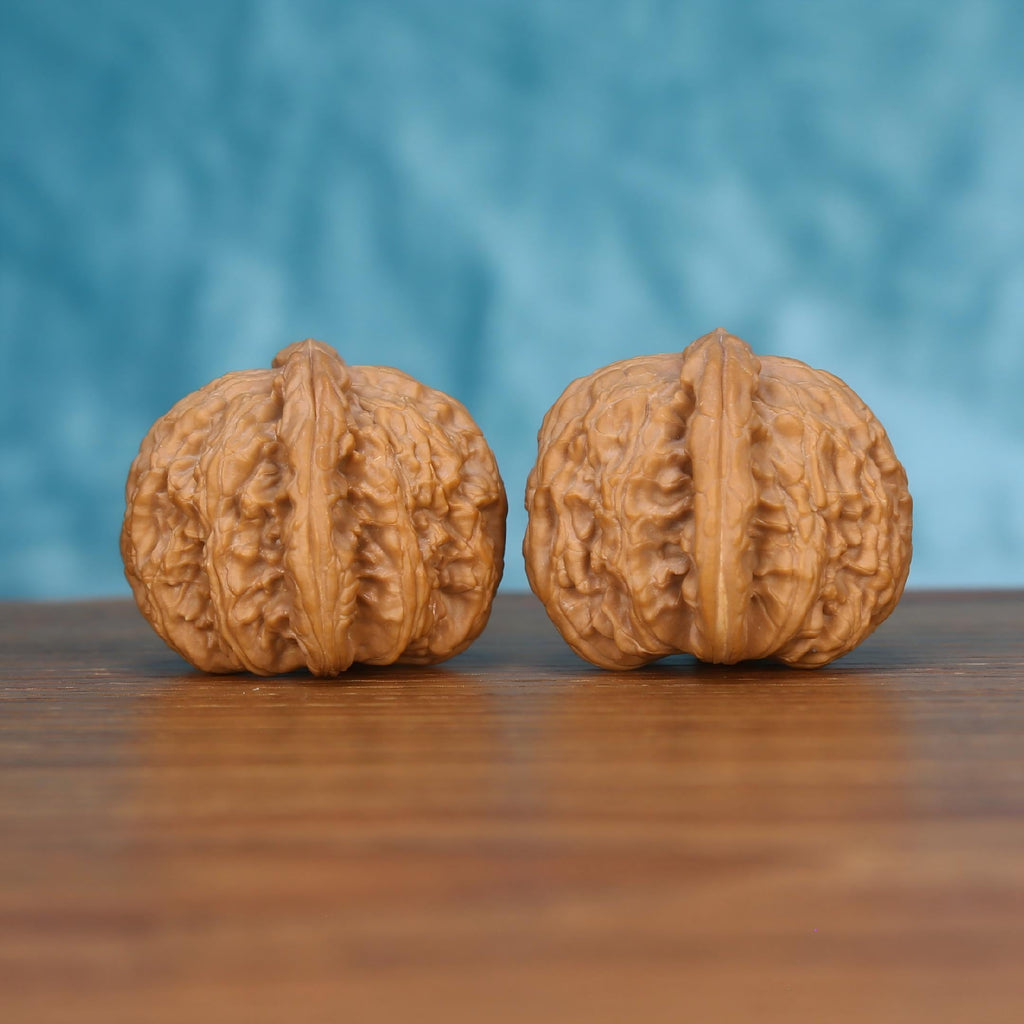 Pair of wenwan walnuts with bold vertical seam and deeply folded wrinkled surface, side view on wooden surface with blue background
