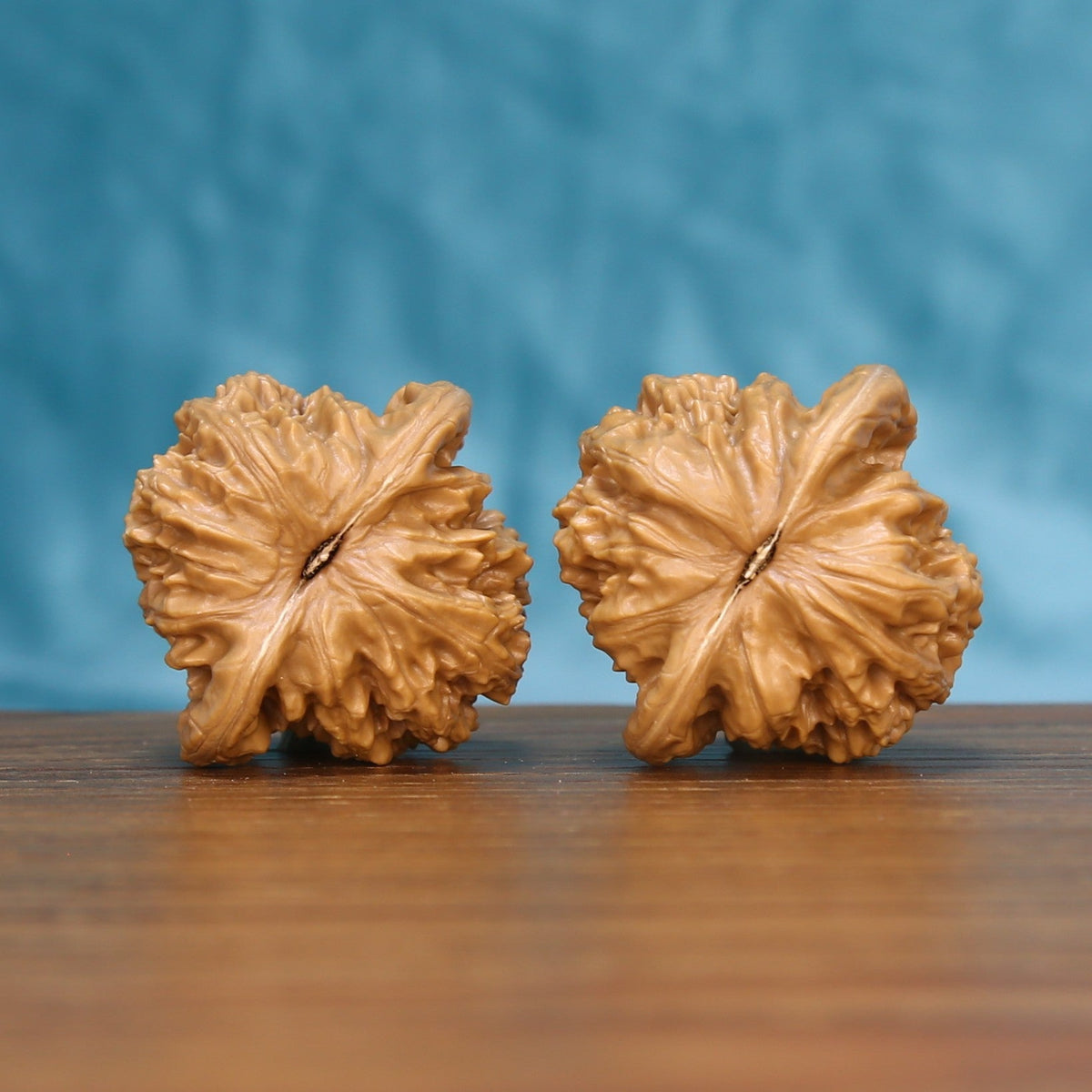 Bottom view of a matched Coiling Dragon Wenwan walnut pair showing natural base details
