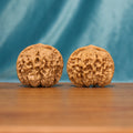 L19 Wenwan walnut matched pair displayed side by side on a wooden surface against a teal background.
