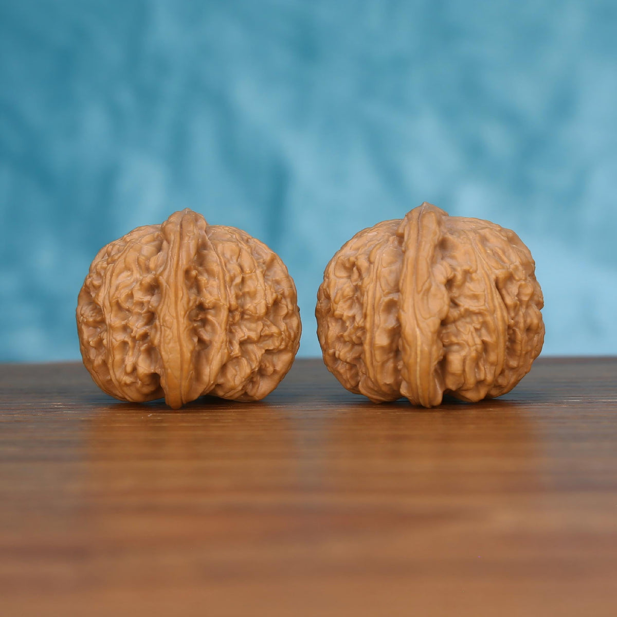 Pair of wenwan walnuts with prominent vertical seam and irregular wrinkled lobes, side view on wooden surface with blue background
