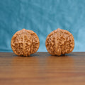 Pair of Qinhuangdao Yuanbao Wenwan walnuts standing upright on a wooden surface against a blue background
