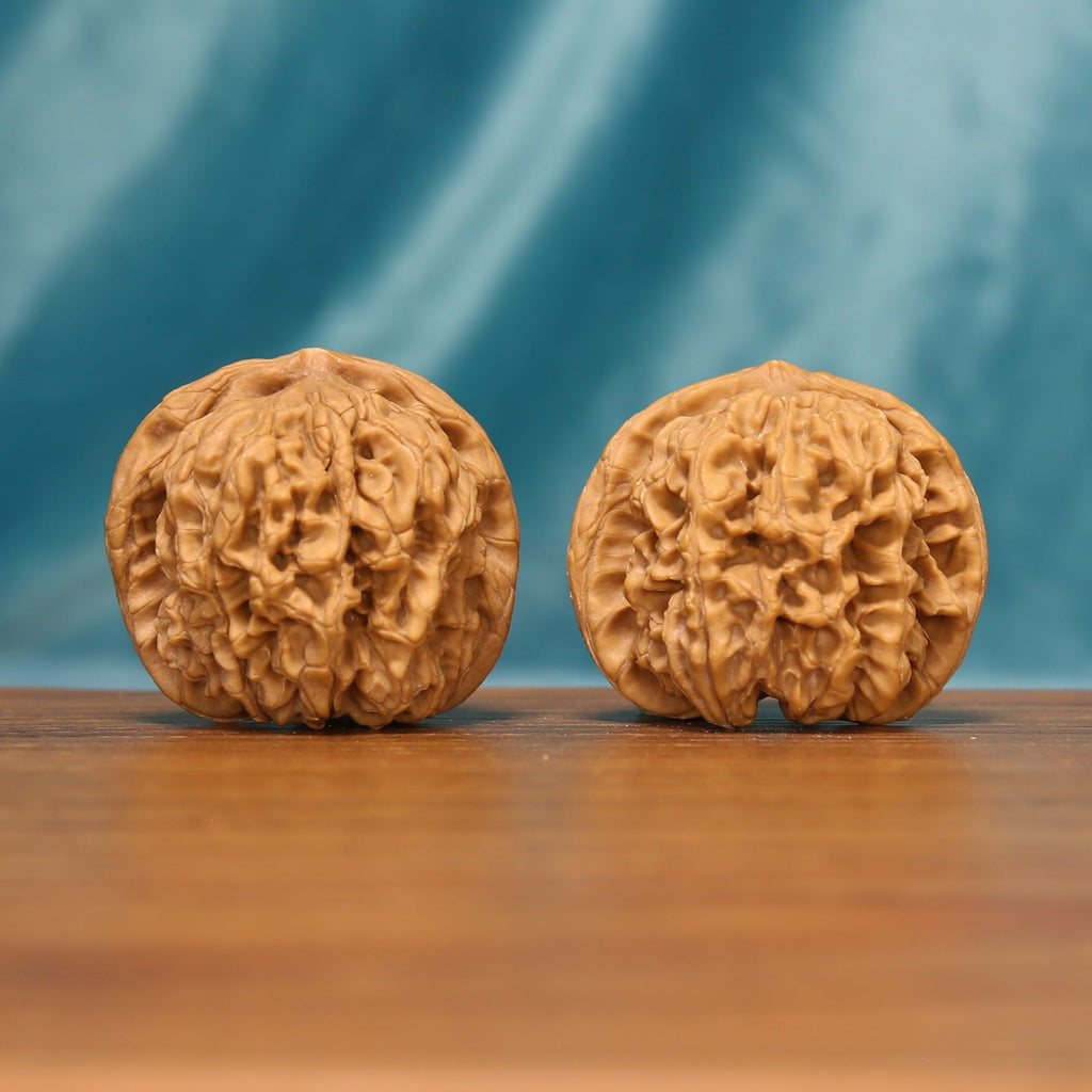 L19 Wenwan walnut pair shown from the front, highlighting rounded forms and dense natural ridge texture.
