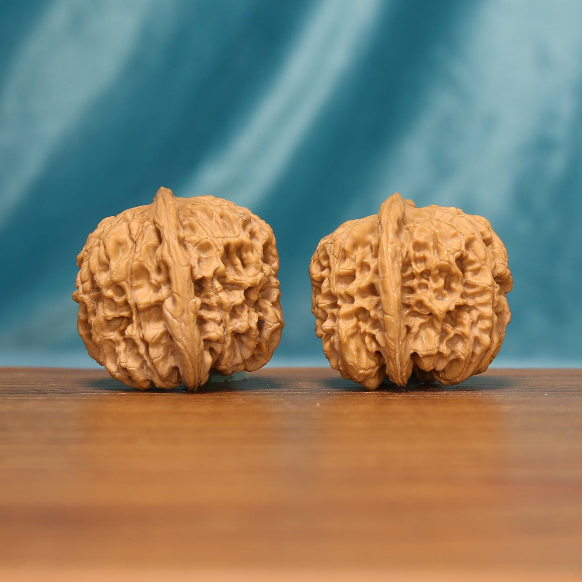 L19 Wenwan walnut matched pair shown from an angled front view, displaying detailed ridges and textured shells.
