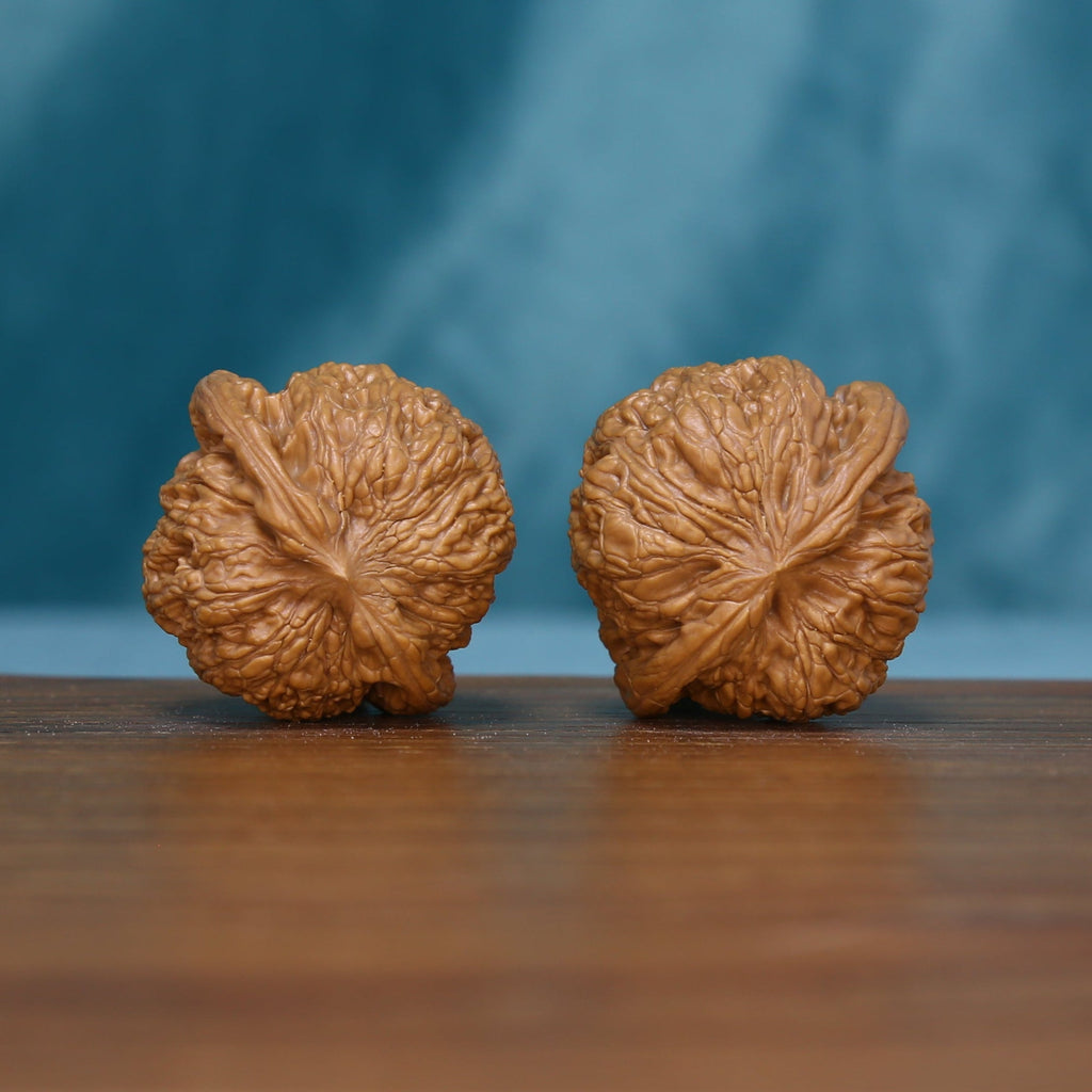 Side view of two 6111 Rugged Crest wenwan walnuts with branching grooves
