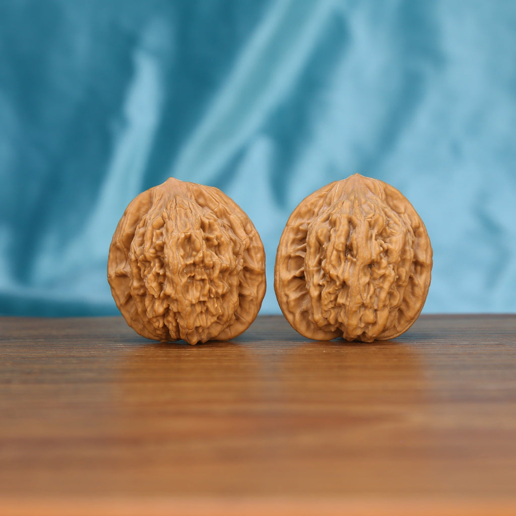 W3595 Amber Wheat Crown walnut duo on wooden surface – 20g+ dense botanical stress relief artifacts

