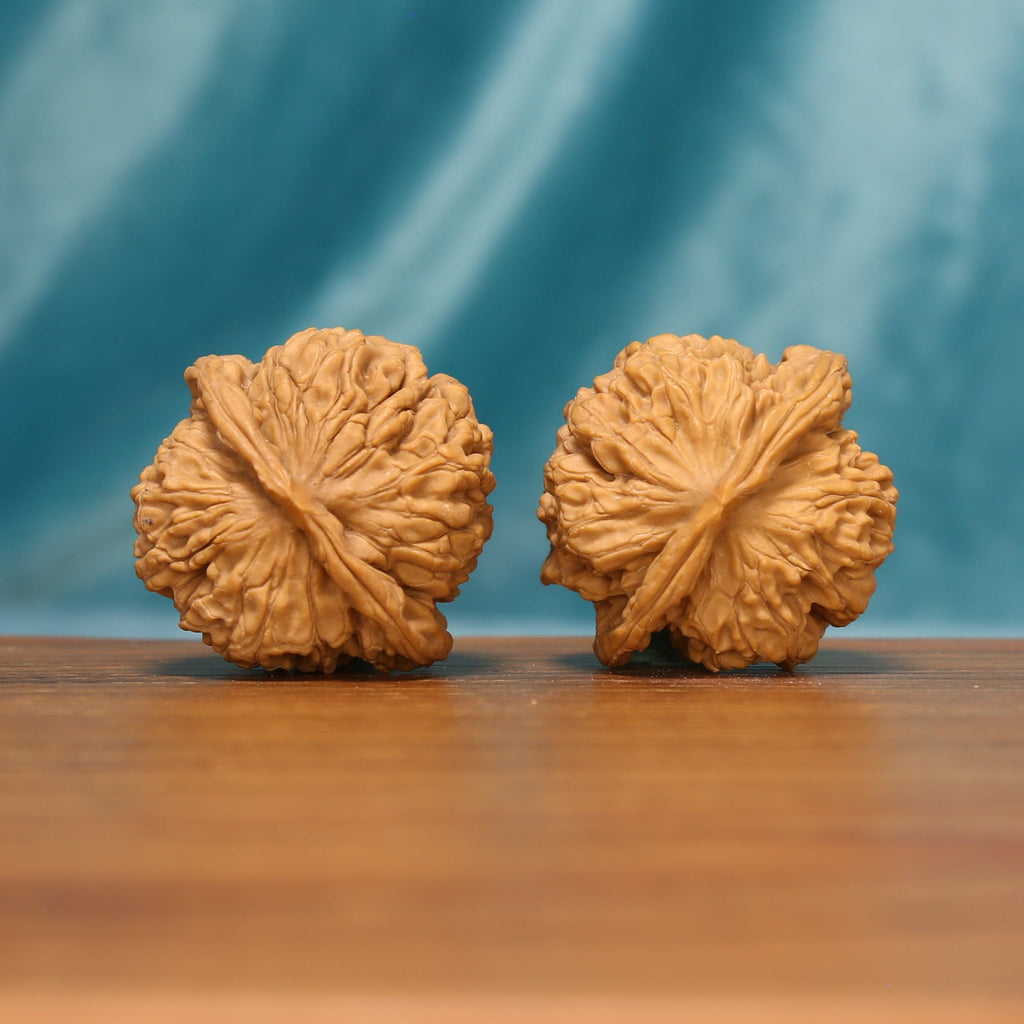 L19 Wenwan walnut pair shown from the side, highlighting radiating ridges and individual shell texture.
