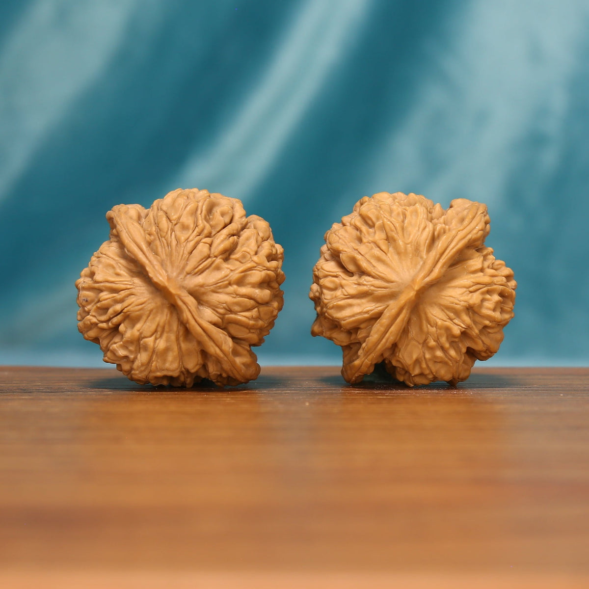 L19 Wenwan walnut pair shown from the side, highlighting radiating ridges and individual shell texture.
