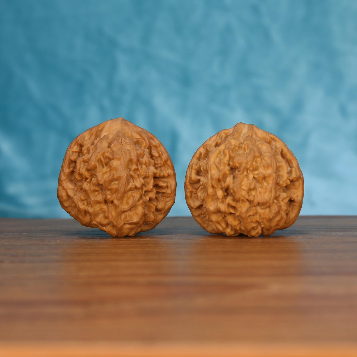 Pair of wenwan walnuts showing flat rounded bottom with dense wrinkled texture, bottom view on wooden surface with blue background
