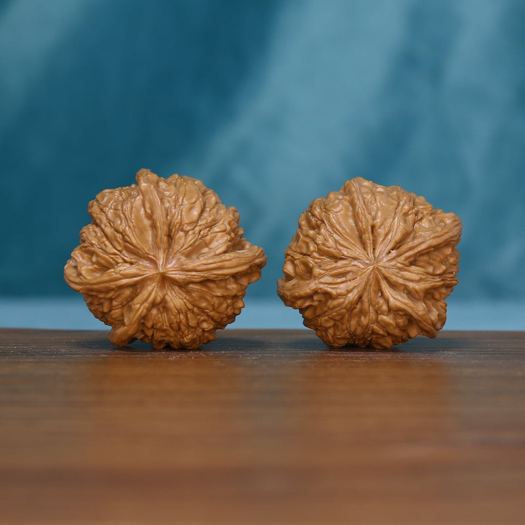 Pair of 6133 Starburst Crown wenwan walnuts showing radiating ridges
