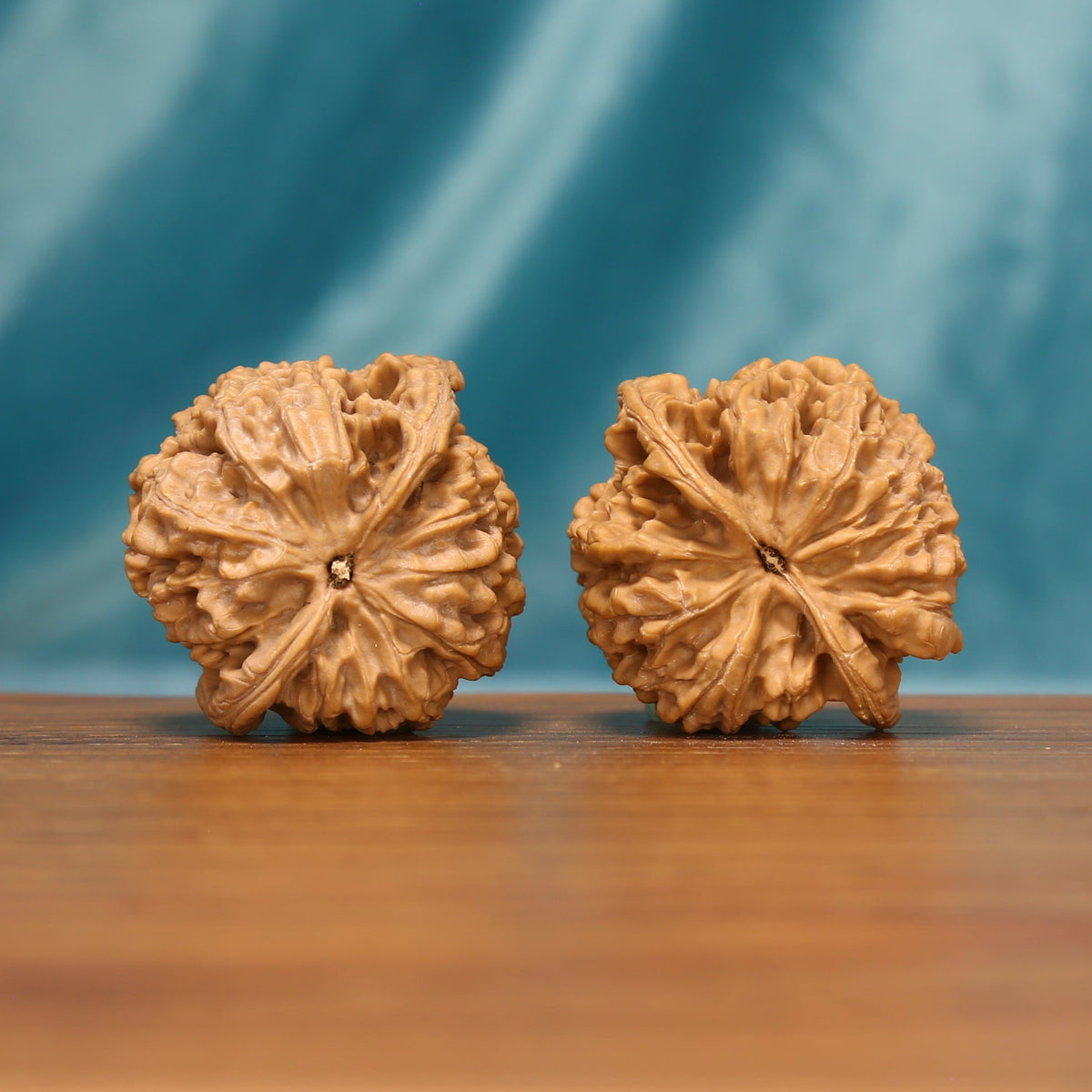 L19 Wenwan walnut pair shown from below, highlighting the natural base patterns and radiating ridges.
