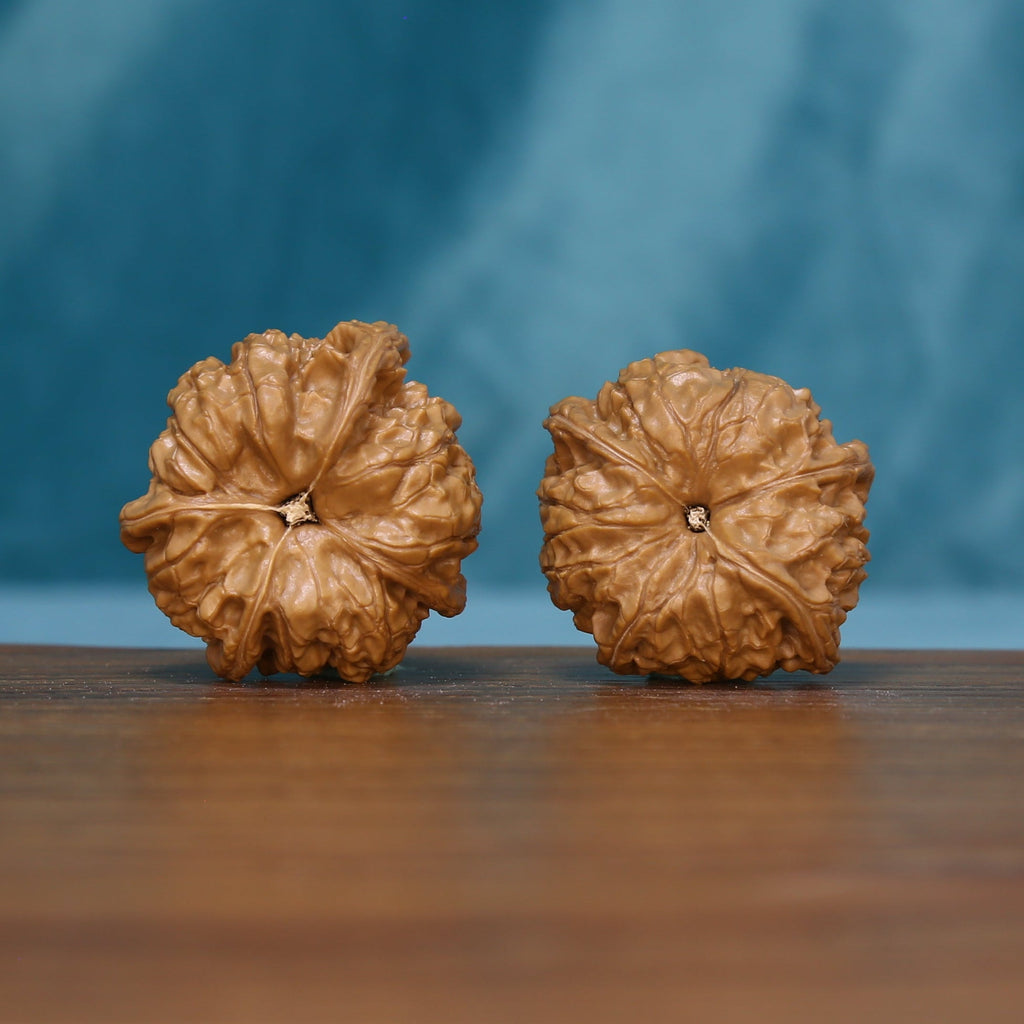 6133 Starburst Crown wenwan walnut pair viewed from another angle
