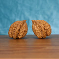 Pair of wenwan walnuts with sharp pointed tip and deeply folded wrinkled surface, side view on wooden surface with blue background
