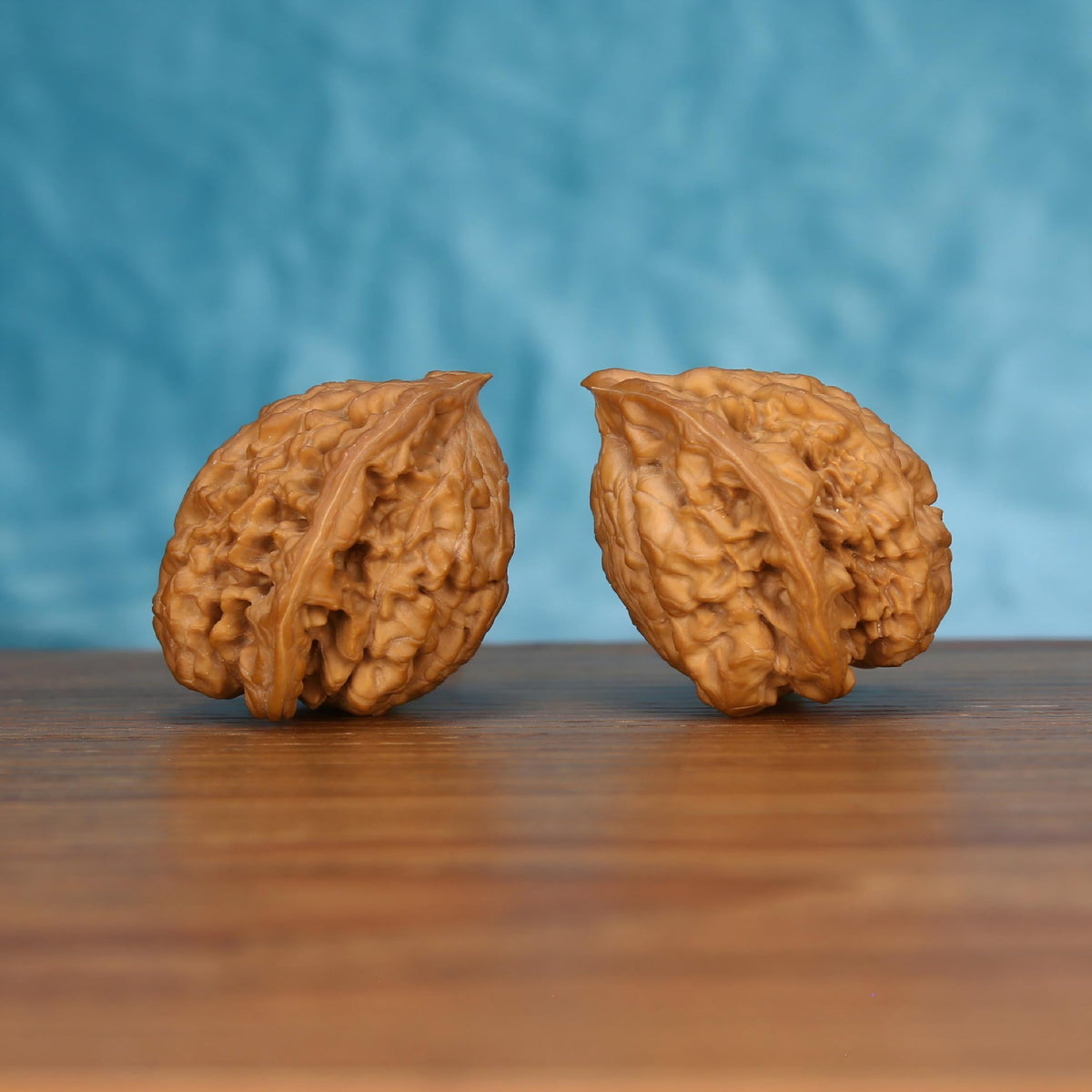 Pair of wenwan walnuts with sharp pointed tip and deeply folded wrinkled surface, side view on wooden surface with blue background
