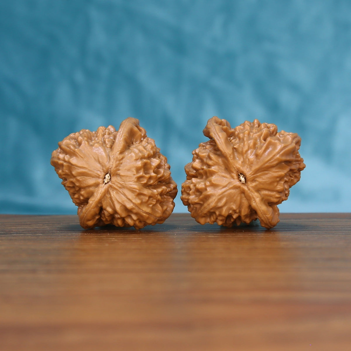 Bottom view of a matched Qinhuangdao Yuanbao Wenwan walnut pair showing natural base details
