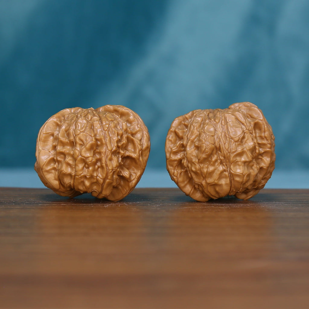 Side view of two 6133 Starburst Crown wenwan walnuts with textured tan surfaces
