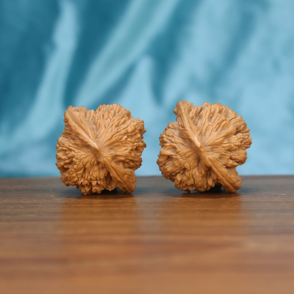 Mai-Sui Hu-Tou walnut spheres – concentrated pressure point massage and raw Wabi-Sabi surface
