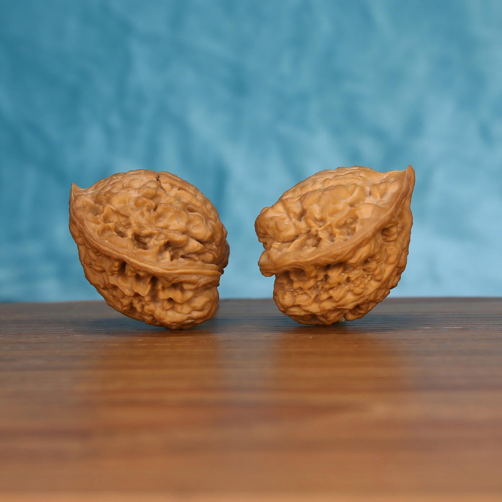 Pair of wenwan walnuts with prominent pointed tip and irregular deeply wrinkled lobes, angled side view on wooden surface with blue background
