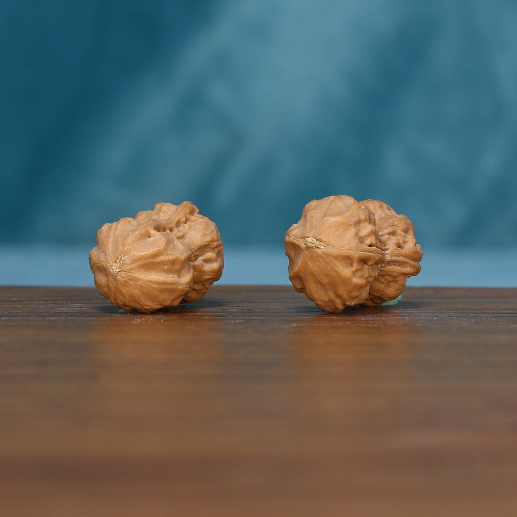 Opposite side view of the L44 Peanut Gourd wenwan walnut pair
