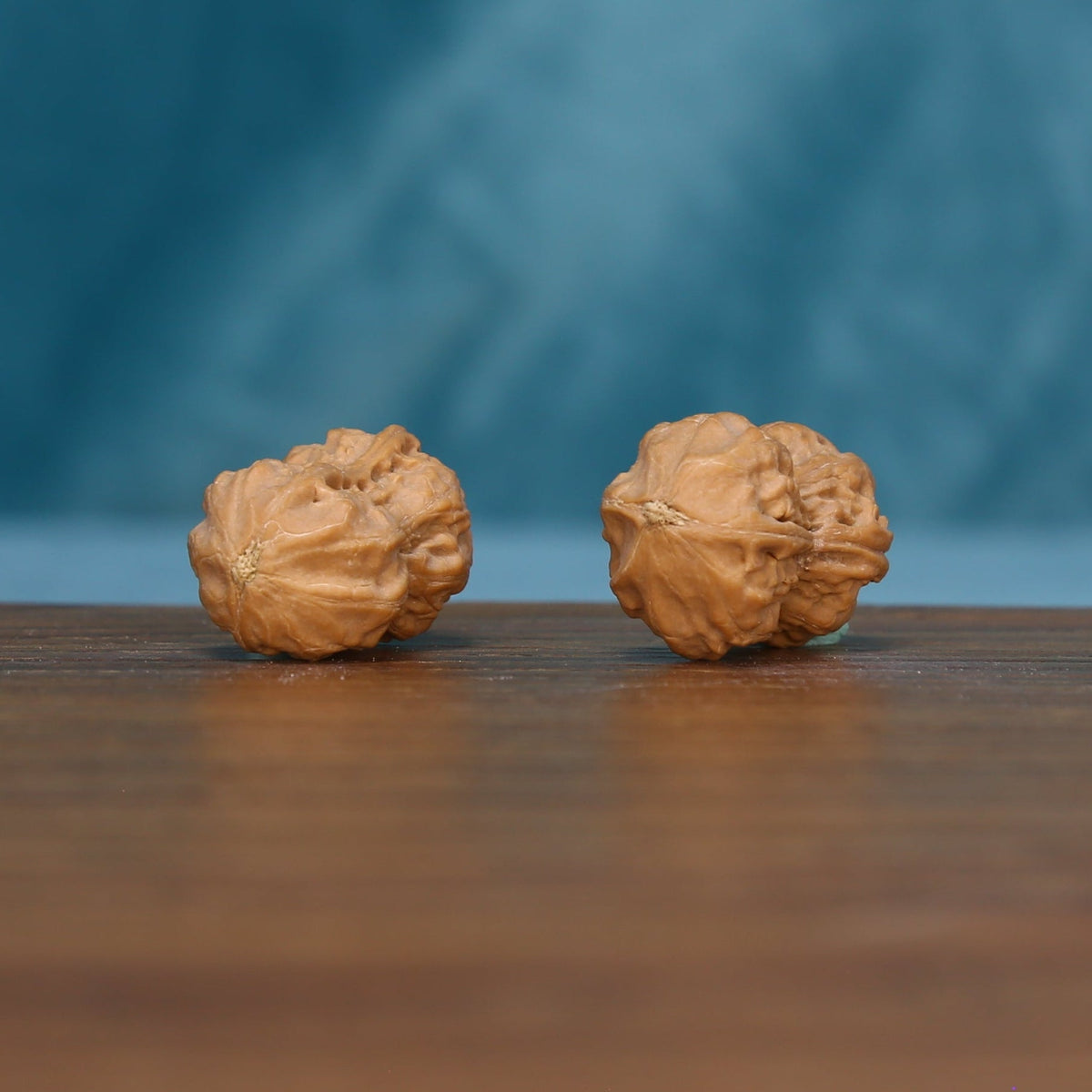Opposite side view of the L44 Peanut Gourd wenwan walnut pair
