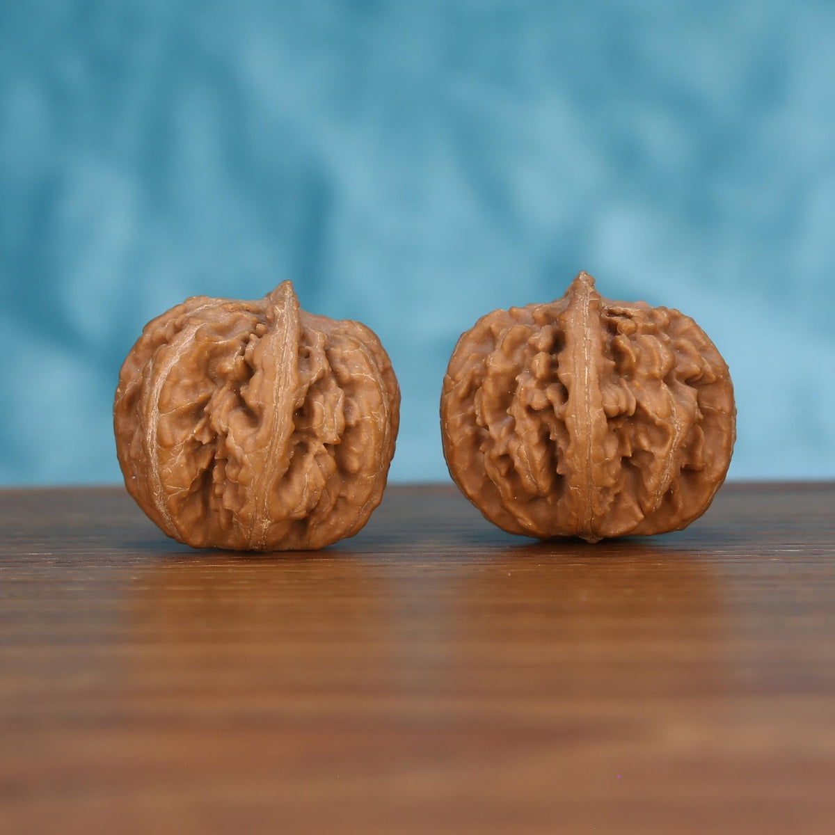 Pair of wenwan walnuts with sharp pointed tip and prominent vertical seam, deeply folded wrinkled surface, side view on wooden surface with blue background
