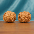 L17 Wenwan walnut matched pair displayed side by side on a wooden surface against a teal background.
