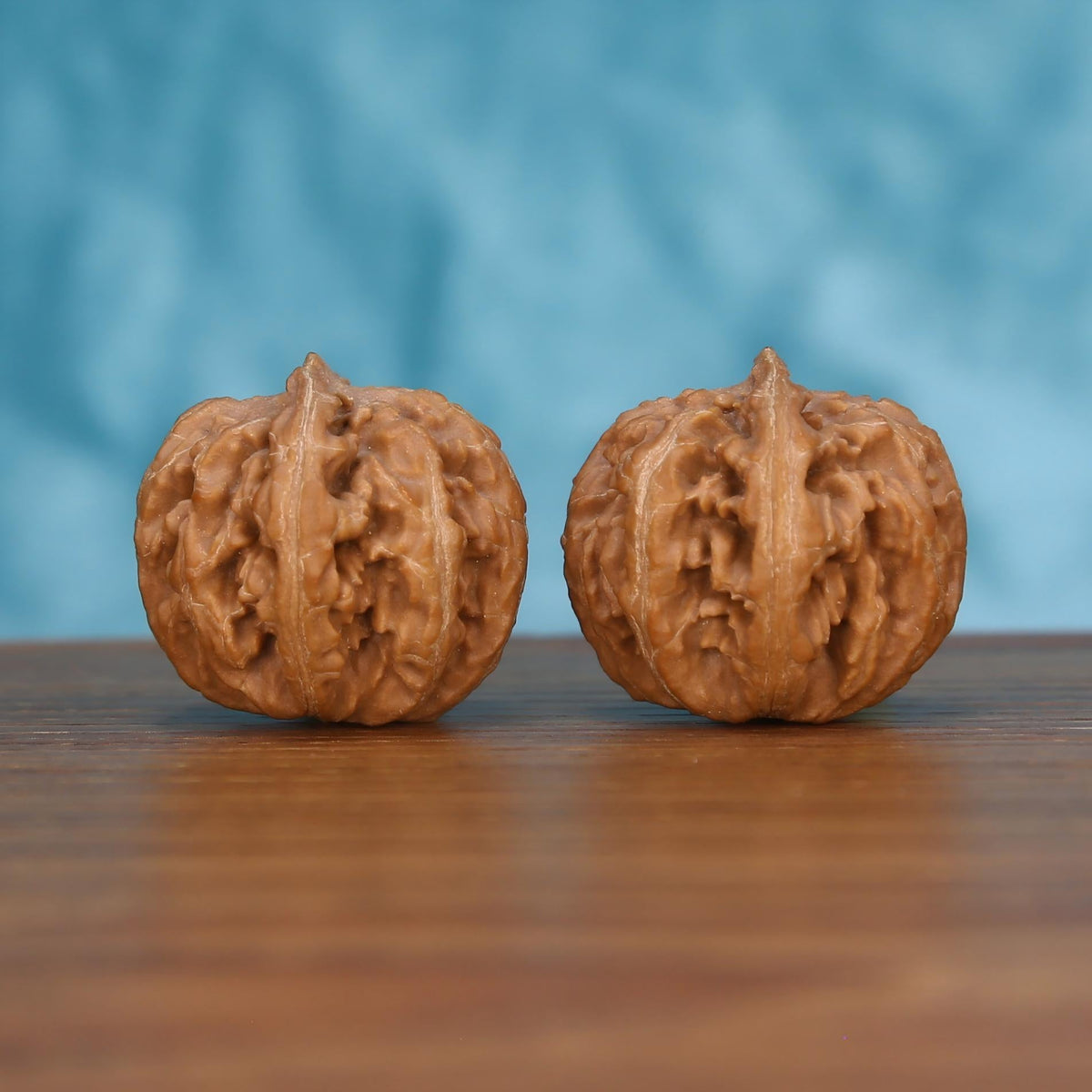 Pair of wenwan walnuts with sharp pointed tip and bold vertical seam, irregular deeply wrinkled lobes, front view on wooden surface with blue background
