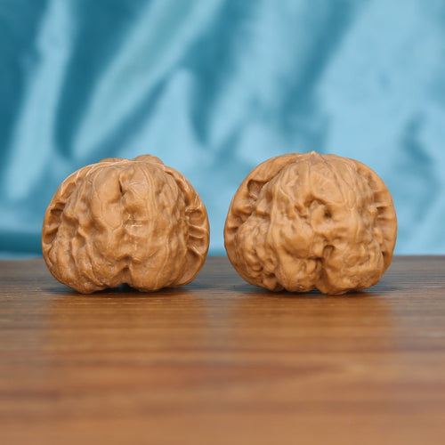 Ha-Ma-Tou walnut set side profile on wood, blue background – rounded toad-head grain detail