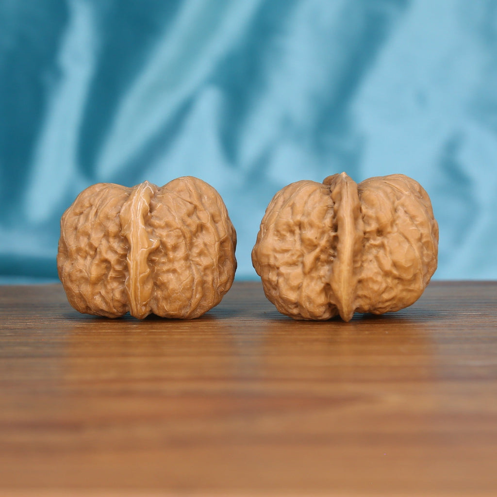Single Ha-Ma-Tou wenwan walnut on wooden surface, blue background – smooth hemisphere natural texture